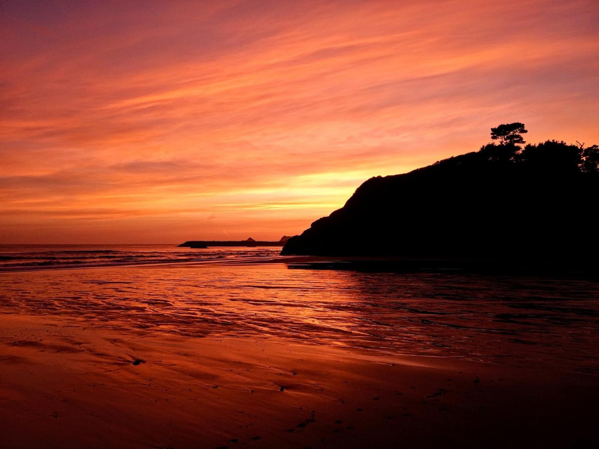 The Cove At Port Orford - 5 Ocean Front Suites Exteriör bild