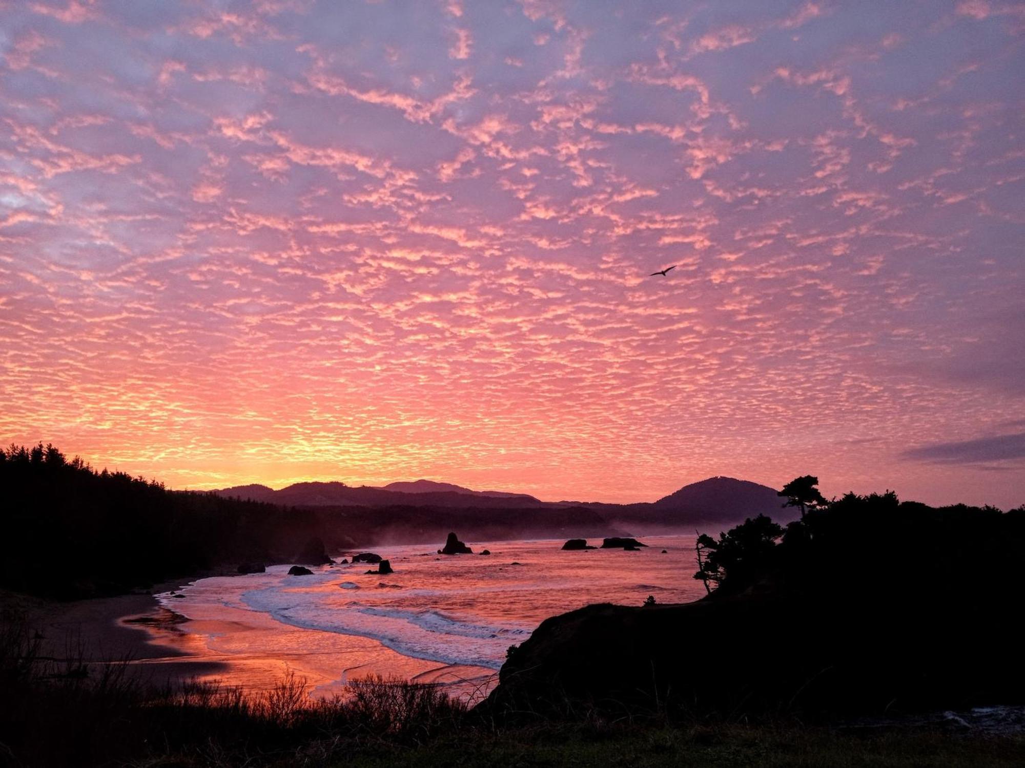 The Cove At Port Orford - 5 Ocean Front Suites Exteriör bild